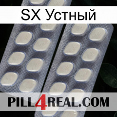 SX Устный 07